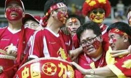 南京球迷爆料事件视频最新,真相与争议交织的足球场风波